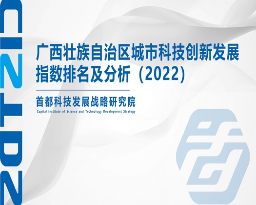 美女被鸡巴操喷水高潮视频网站【成果发布】广西壮族自治区城市科技创新发展指数排名及分析（2022）